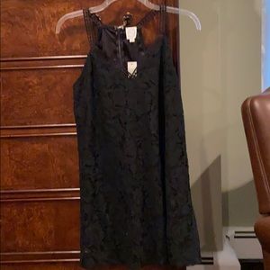 🖤 Francesca’s Blue Rain Little Black Dress 🖤